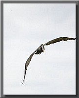 CLICK to enlarge image # 104