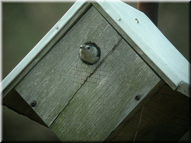 DSCN3733.JPG