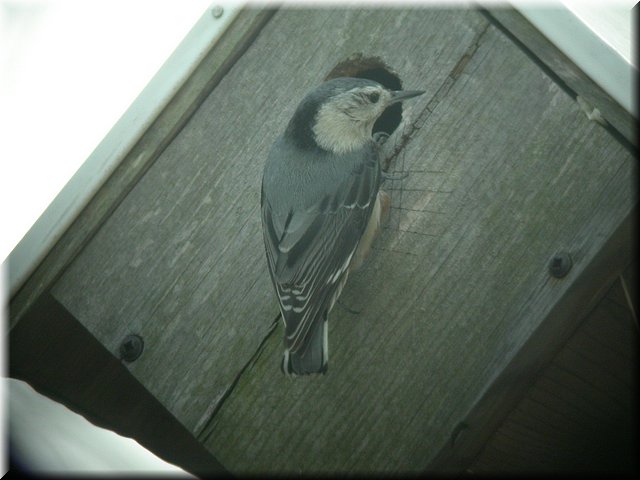 DSCN3845.JPG