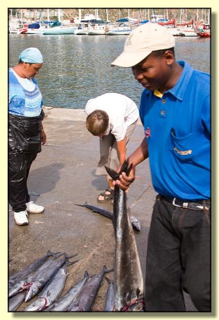 Image # 168, filename CRW_9266
Make: Canon
Model: Canon EOS 10D
Orientation: Normal
XResolution: 300
YResolution: 300
ResolutionUnit: Inch
Software: Adobe Photoshop CS2 Windows
DateTime: 7/17/2005 8:51:34 PM
Artist: Douglas Bolt
Copyright: &Acirc;&copy; Douglas Bolt
ExifOffset: 280
ExposureTime: 1/125 sec
FNumber: F8
ExposureProgram: Aperture priority
ISOSpeedRatings: ISO 100
DateTimeOriginal: 2/23/2005 11:05:06 AM
ShutterSpeedValue: 1/125 sec
ApertureValue: F8
ExposureBiasValue: 0 EV
MaxApertureValue: F3.51
MeteringMode: Multi-Segment
Flash: Flash did not fire
FocalLength: 35 mm
ColorSpace: sRGB
ExifImageWidth: 401
ExifImageLength: 600