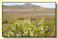 CLICK to enlarge image CRW_9211