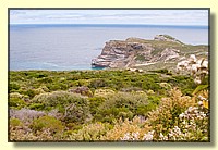 CLICK to enlarge image CRW_9228