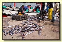 CLICK to enlarge image CRW_9260