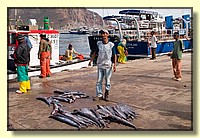 CLICK to enlarge image CRW_9273