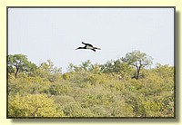 CLICK to enlarge image # 146