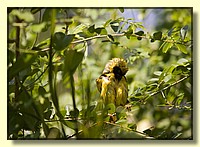 CLICK to enlarge image # 156