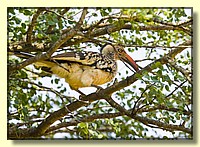 CLICK to enlarge image # 157