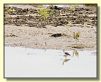 CLICK to enlarge image # 169
