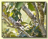 CLICK to enlarge image # 173