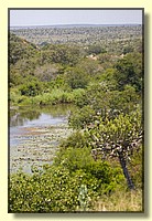 CLICK to enlarge image # 174