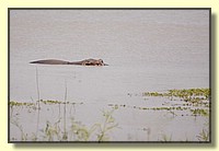 CLICK to enlarge image # 175
