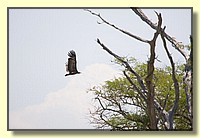 CLICK to enlarge image # 176
