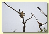 CLICK to enlarge image # 178
