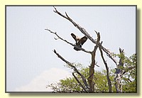 CLICK to enlarge image # 180