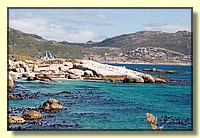 CLICK to enlarge image # 117