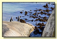 CLICK to enlarge image # 102
