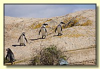 CLICK to enlarge image # 103