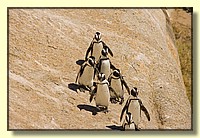 CLICK to enlarge image # 114