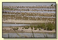 CLICK to enlarge image # 152
