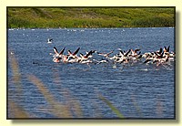 CLICK to enlarge image # 162