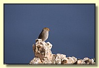 CLICK to enlarge image # 169