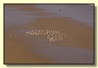 CLICK to enlarge image # 171