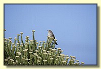CLICK to enlarge image # 172