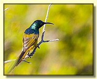 CLICK to enlarge image # 177