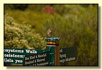CLICK to enlarge image # 181
