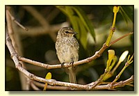 CLICK to enlarge image # 182