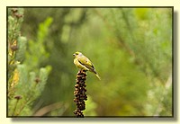 CLICK to enlarge image # 193