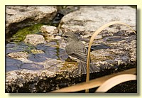 CLICK to enlarge image # 194