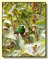 CLICK to enlarge image # 195