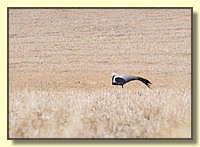 CLICK to enlarge image # 202