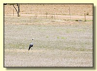 CLICK to enlarge image # 203