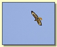 CLICK to enlarge image # 204