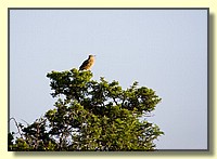 CLICK to enlarge image # 77
