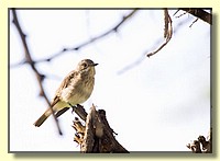 CLICK to enlarge image # 78