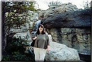 553-17a.jpg