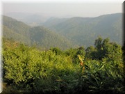 CLICK to enlarge image

Image ID: DSCN7937