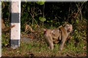 CLICK to enlarge image

Image ID: DSCN7975