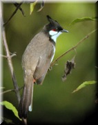 CLICK to enlarge image

Image ID: DSCN7990