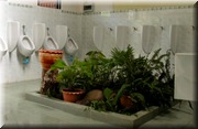 CLICK to enlarge image

Image ID: DSCN8011