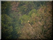 CLICK to enlarge image

Image ID: DSCN8017