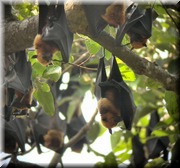 CLICK to enlarge image

Image ID: DSCN8130