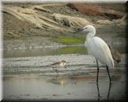 CLICK to enlarge image

Image ID: DSCN8141