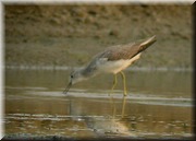 CLICK to enlarge image

Image ID: DSCN8153
