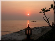 CLICK to enlarge image

Image ID: DSCN8186