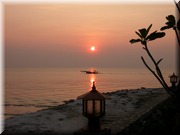 CLICK to enlarge image

Image ID: DSCN8187