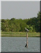 CLICK to enlarge image

Image ID: DSCN8266